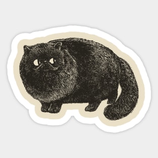 Black Cat Cat Sticker